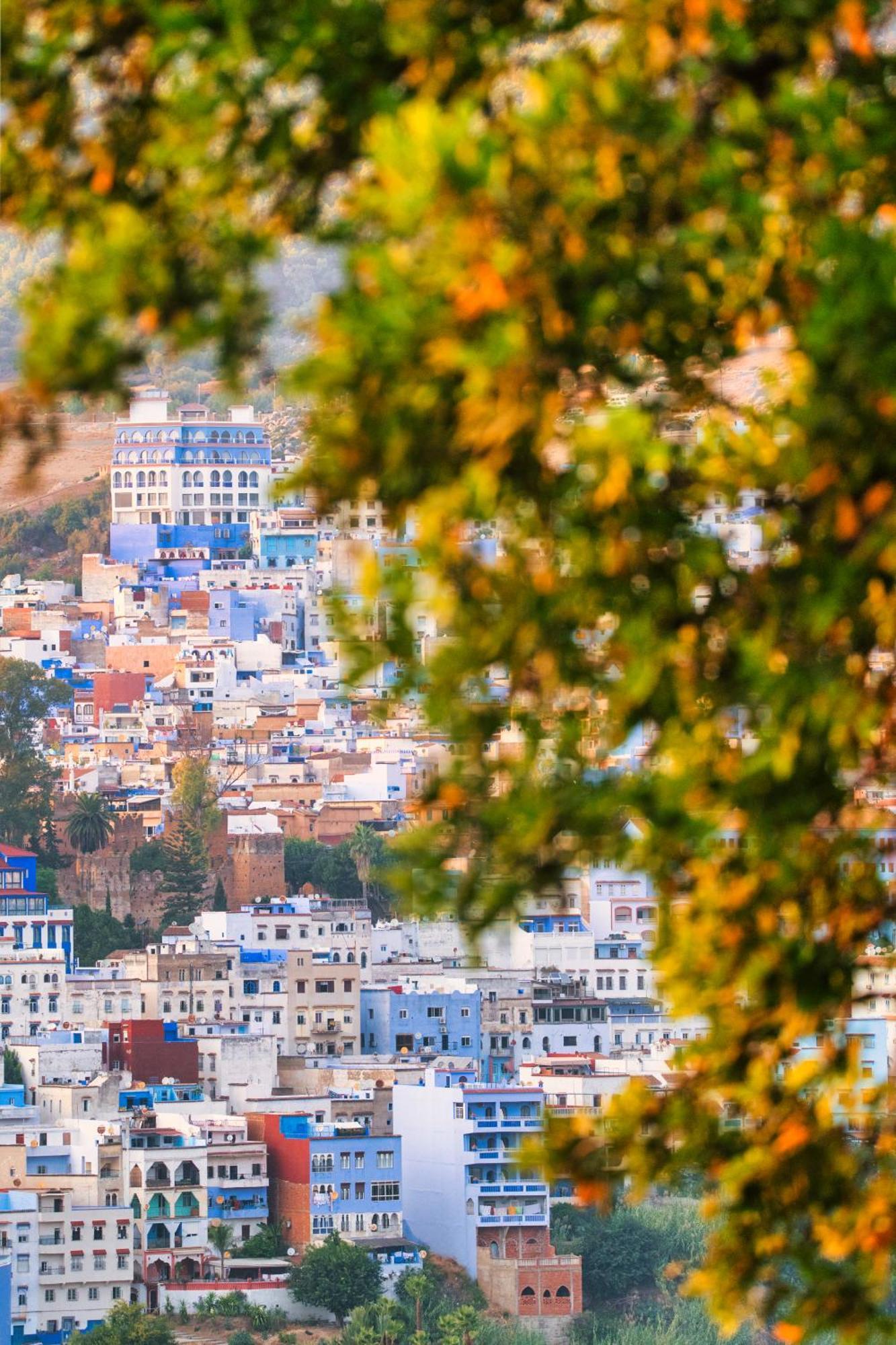 Taj Chefchaouen Luxury Hotel And Spa Экстерьер фото